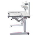 Lykan Study Desk