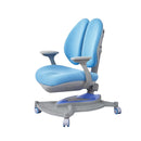Kaiser Chair