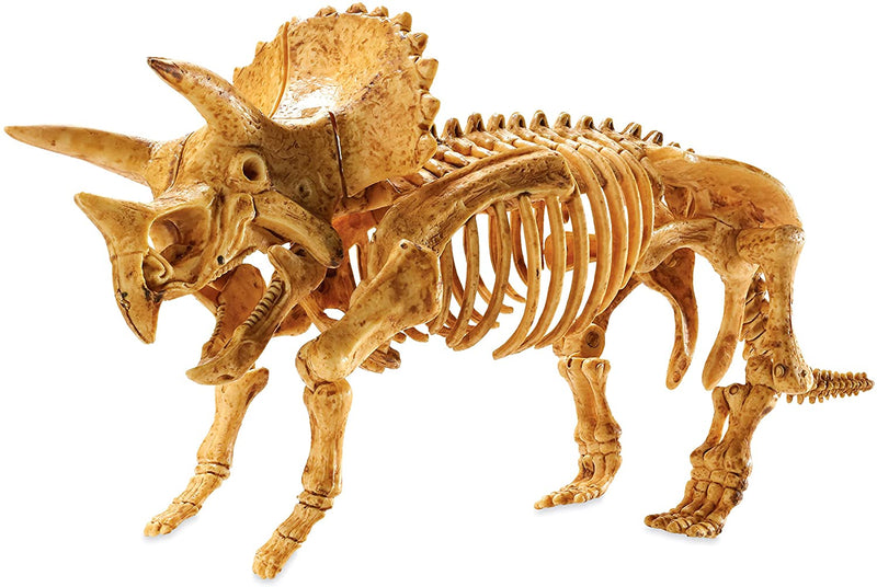 Dig It Up! Dinosaur Model: Triceratops