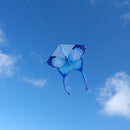 Colorful Butterfly Kite