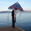 Space Battleship Kite