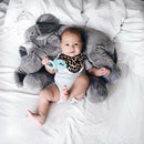 Teether Cooler