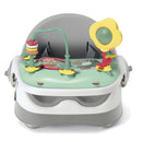 Baby Bud 2-in-1 Booster Seat with Detachable Tray