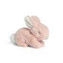 Soft Toy - Treasured Bunny