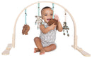 Play Gym - Safari