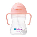 Sippy Cup w/ Weighted Straw