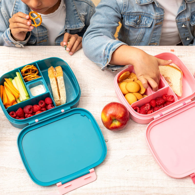 Bento Box with Removable Tray