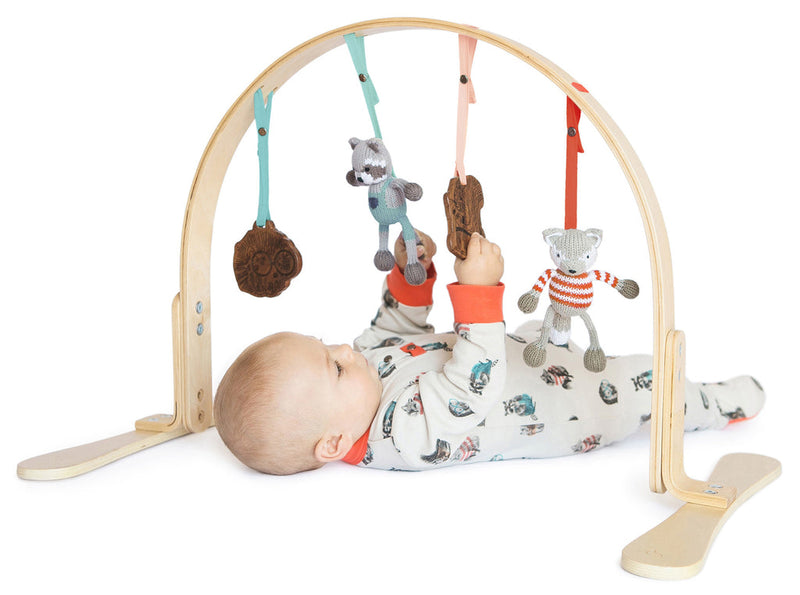 Play Gym - Woodland