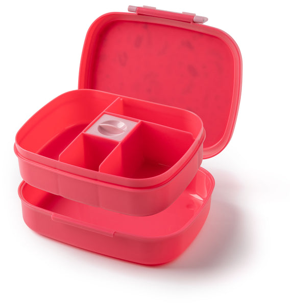 Bento Box with Removable Tray