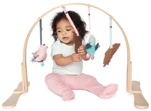 Play Gym - Feather