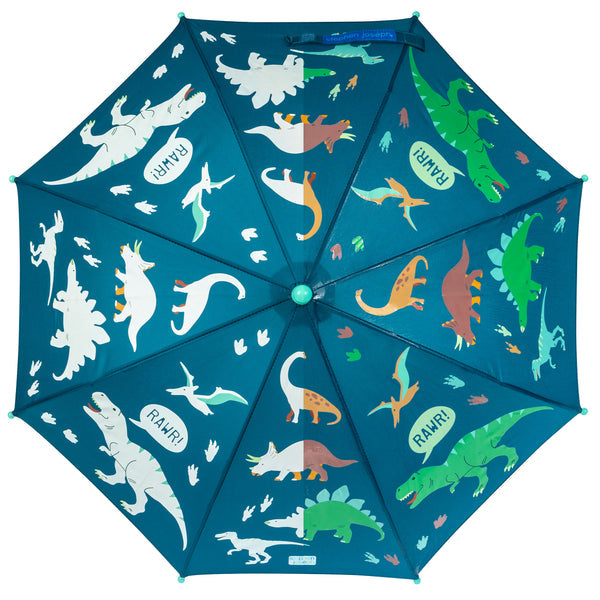 Color Changing Umbrella