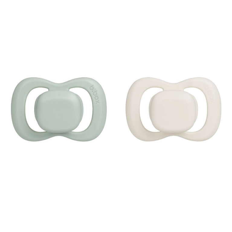 Silicone Pacifier Twin Pack