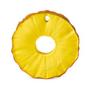 Ananas the Pineapple