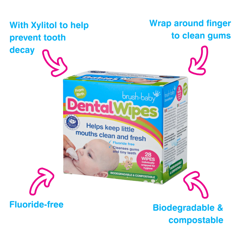 Dental Wipes 28s