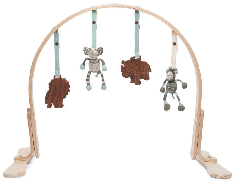 Play Gym - Safari