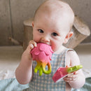 Fucsia the Dragonfruit