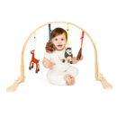 Play Gym - Fawn & Wildflowers