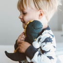 Dinos Collection Rattle Buddy Maxwell the Dino