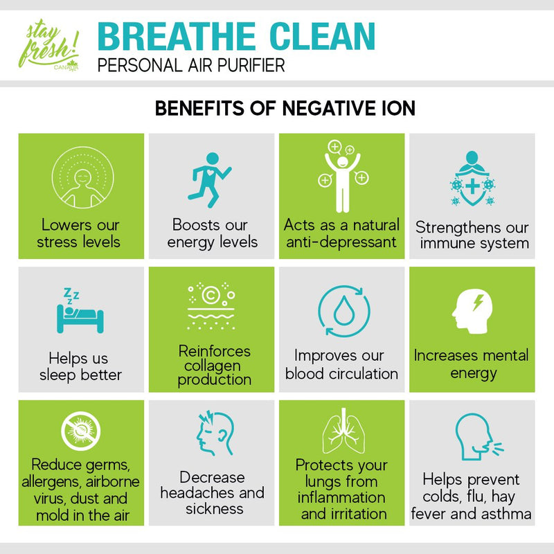 Breathe Clean Personal Air Purifier