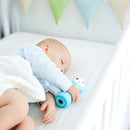 Smarty Shake & Tell Rattle