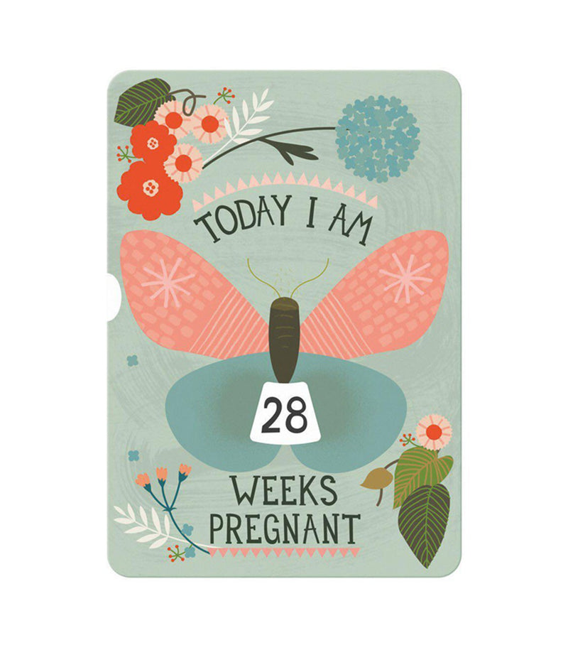 Pregnancy and Newborn Cards