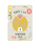 Turn Wheel Baby Ages