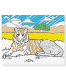 Magic Patterns Pirate