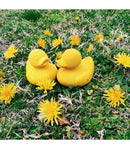 Elvis the Duck Bath Toy