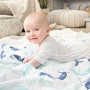 Classic Swaddle 4pack
