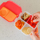 Mini Lunchbox
