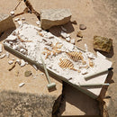 Dig It Up! Tyrannosaurus Rex