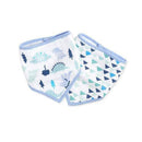 Bandana Bibs 2pack