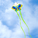 Butterfly Kite