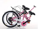 Folding Bike