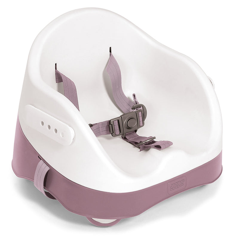 Baby Bud 2-in-1 Booster Seat with Detachable Tray