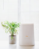 Top Fill Ultrasonic Cool Mist Humidifier
