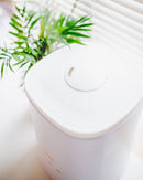 Top Fill Ultrasonic Cool Mist Humidifier