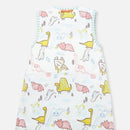 Temp. Balance Sleep Sack Dinosaur