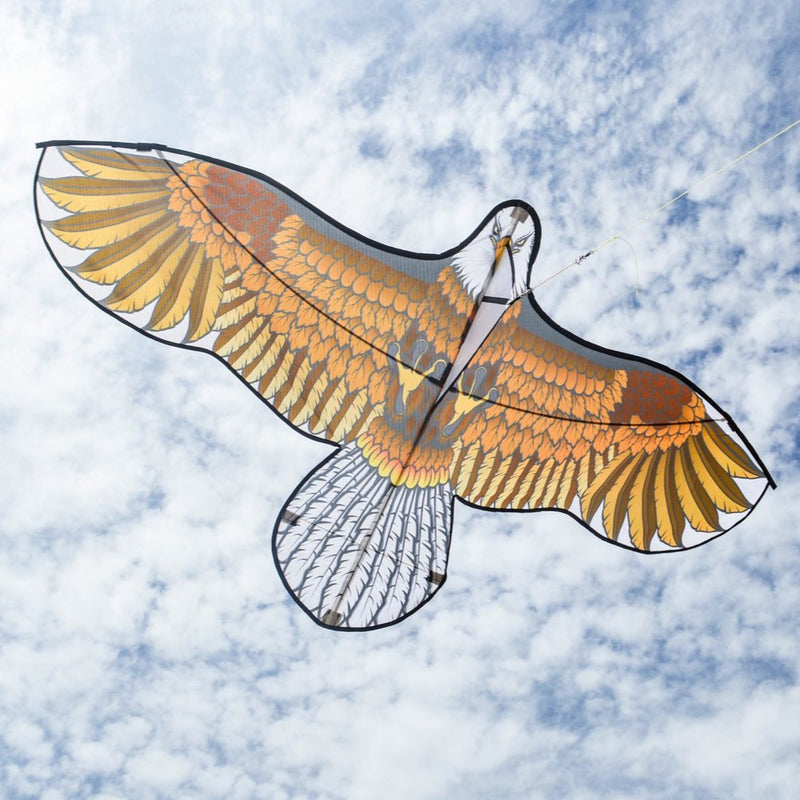 Eagle Kite
