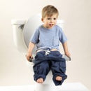 2in1 Potette Plus Portable Potty