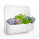 Perch Magnetic Wall Storage System