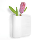 Perch Magnetic Wall Storage System