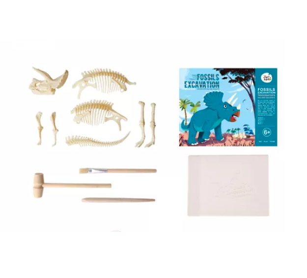 Fossils Excavation Kit