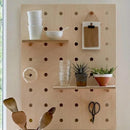 Plex Pegboard