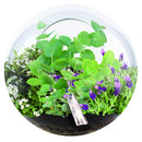 Crystal Glass Garden