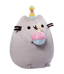 Birthday Pusheen