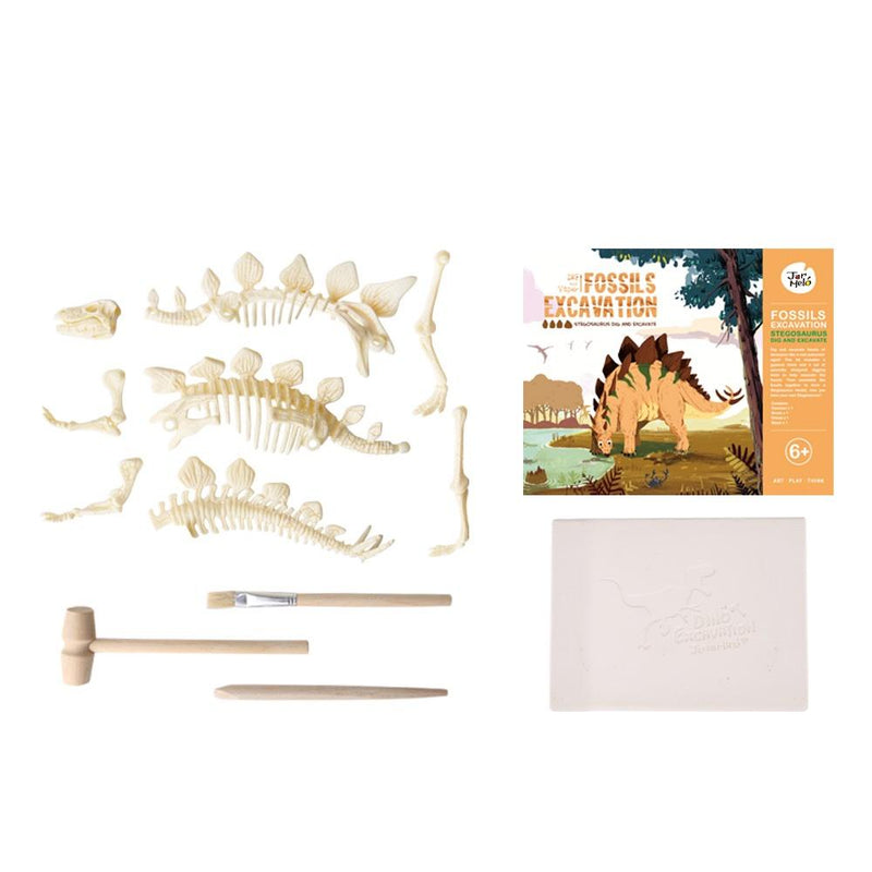 Fossils Excavation Kit