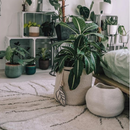 Monstera Leaf Washable Rug