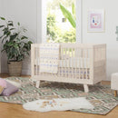 Hudson 3-in-1 Convertible Crib with Toddler Conversion Kit